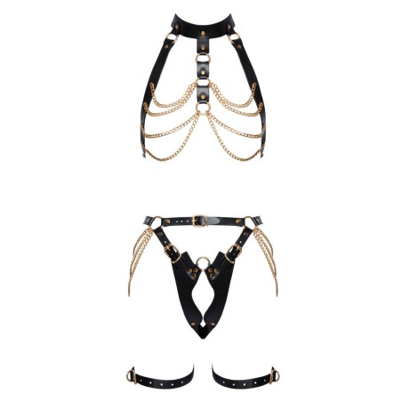 Harness-Set aus Leder