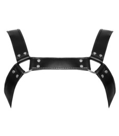 Harness aus Leder