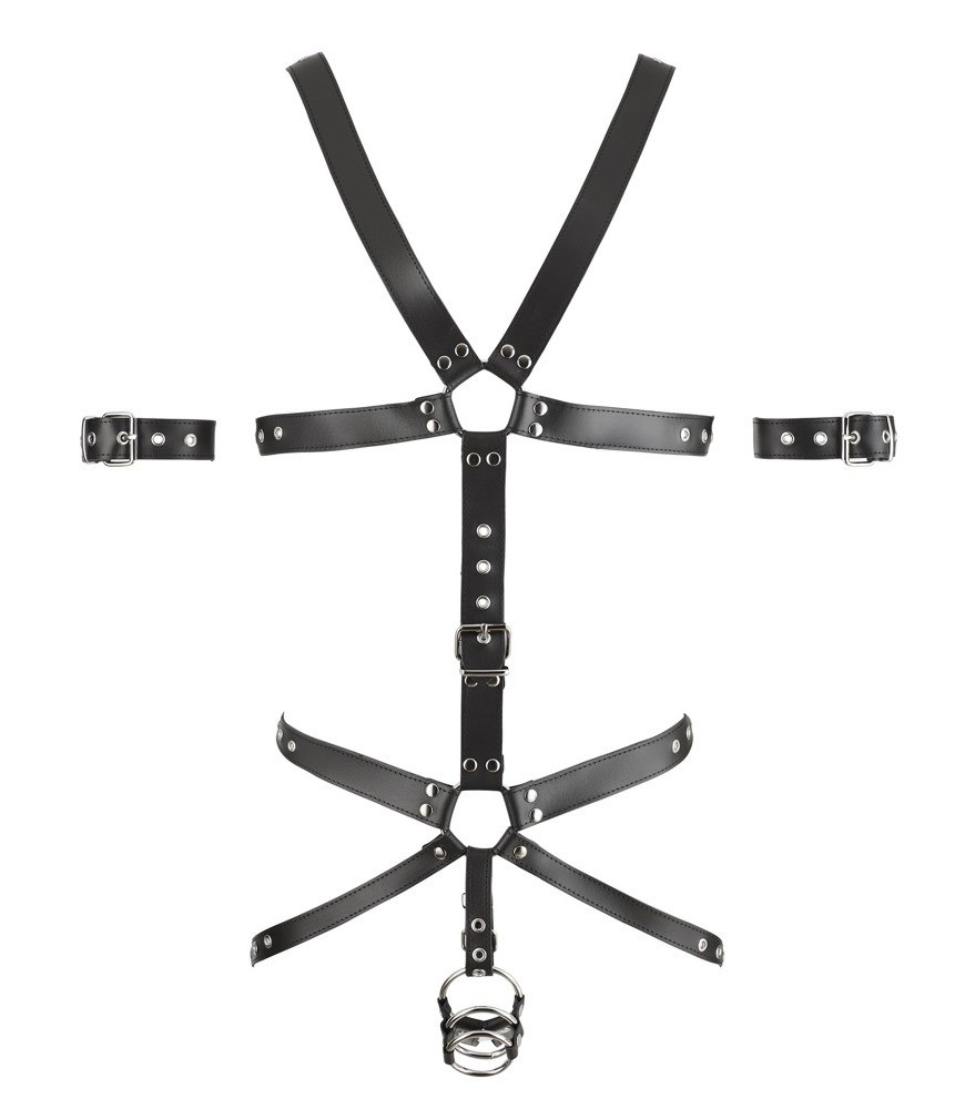 Harness aus Leder mit 3 Penis-/Hodenringen
