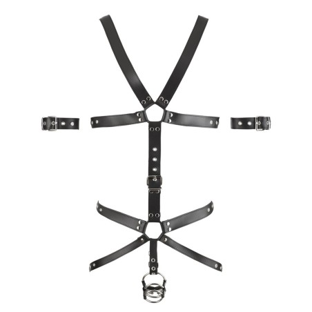 Harness aus Leder mit 3 Penis-/Hodenringen