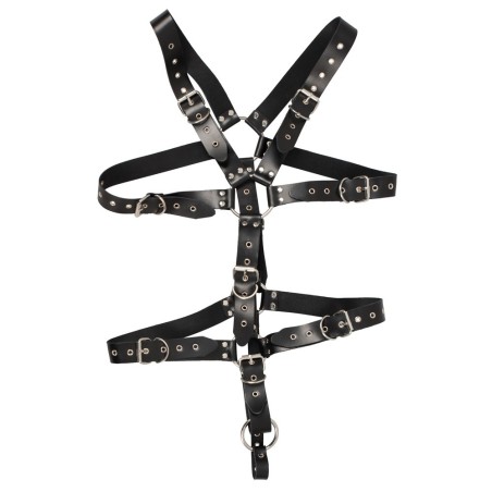 Harness aus Leder