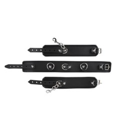 Hals- und Handfessel aus Leder