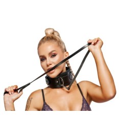 Harness aus Leder