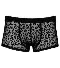 Pants aus feinem Powernet mit Leo-Samtflockprint