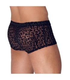 Pants aus feinem Powernet mit Leo-Samtflockprint