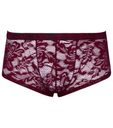 Radlerpants aus transparentem Powernet