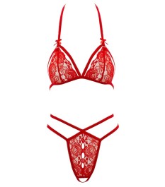 Soft-BH plus String ouvert aus Blütenspitze