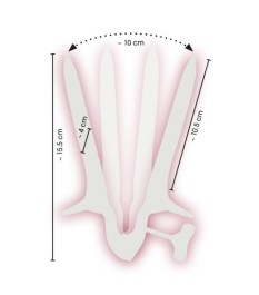 Penispumpe „Bang Bang“