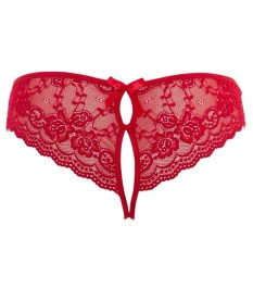 Top plus Slip mit Schenkel-Harnesses (abnehmbar)