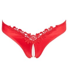 Slip ouvert mit Perlenkette durch den Schritt