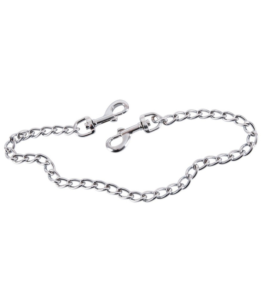 Metallkette mit Karabinern