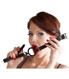 3-teiliges Harness-Set mit verstellbaren Hakenverschlüssen