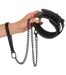 Halsfessel plus Leine