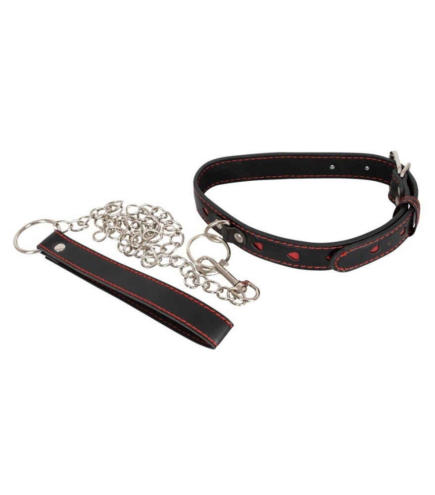 Halsfessel plus Leine in edler Lederoptik