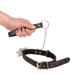 Halsfessel plus Leine in edler Lederoptik