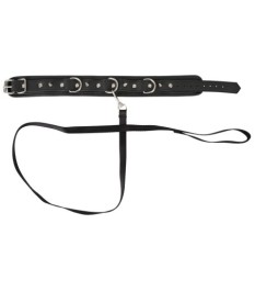 Halsfessel plus abnehmbare Leine, vegan