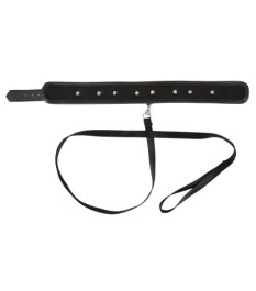 Halsfessel plus abnehmbare Leine, vegan