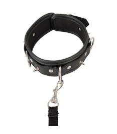 Halsfessel plus abnehmbare Leine, vegan