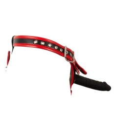 Strap-on-String plus 3 abnehmbare Silikon-Dildos