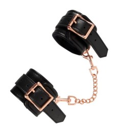 Halsfessel plus Leine