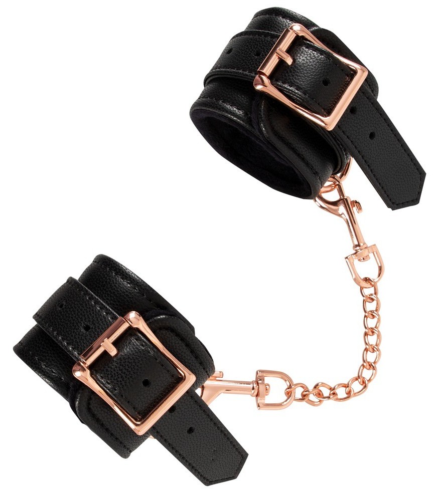 Halsfessel plus Leine