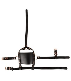 Kopffessel mit Knebel