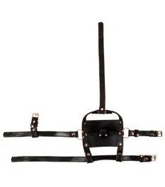 Kopffessel mit Knebel