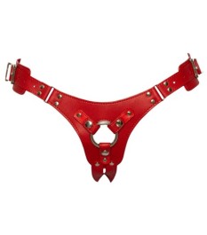 Halsfessel mit beringtem Steg plus Handfesseln mit Karabinern