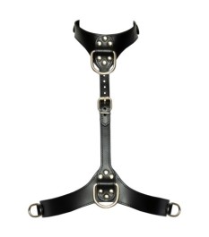 Brustharness in stilvoller Lederoptik