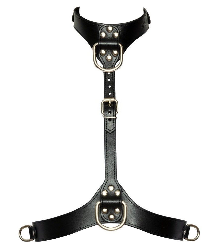 Brustharness in stilvoller Lederoptik