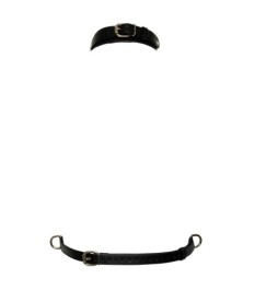 Spreizstange „Spreader“