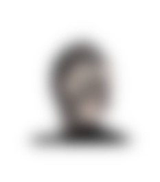 Halsfessel plus abnehmbare Leine, vegan