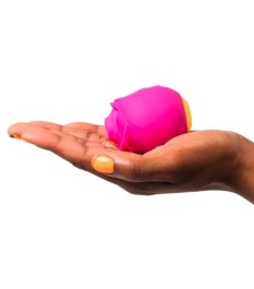 Pulsator ROMP by Womanizer „Rose“