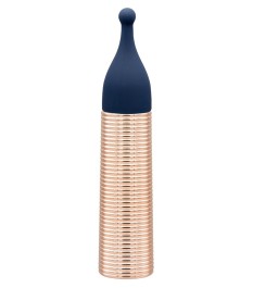 Vibrator „Desires“ mit 5 Silikon-Aufsätzen