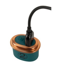 5-teiliges Paartoy-Set mit Fernbedienung