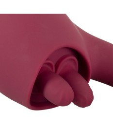 Vibrator mit innovativer Licking-Funktion für Klitoris