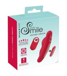 Panty-Vibrator mit Fernbedienung