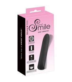 4-teiliges Strap-on-Set inklusive RC-Vibrator und 2 Dildos