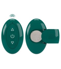 Paarvibrator mit Fernbedienung