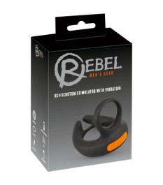 Hodenvibrator mit Fernbedienung