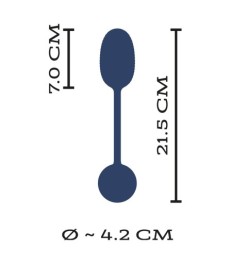 Vibro-Ei „Intense“ mit Fernbedienung