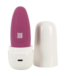 Auflegevibrator „OMINO“ mit Ladebox