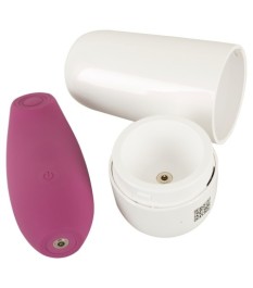 Auflegevibrator „OMINO“ mit Ladebox