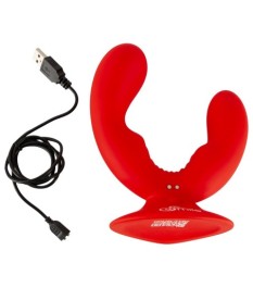 Doppelvibrator mit Saugfuß