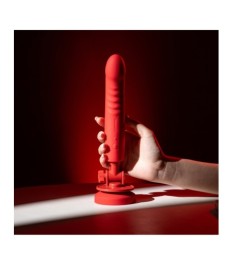 Doppelvibrator mit Saugfuß
