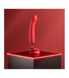 Doppelvibrator mit Saugfuß