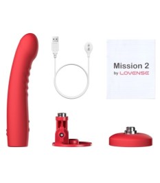 Doppelvibrator mit Saugfuß