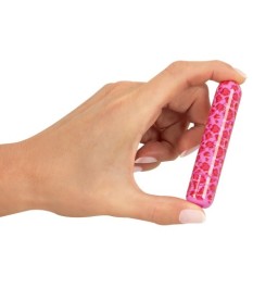 Minivibrator "LEO" im Pop-Design