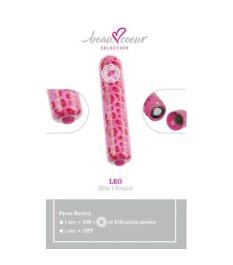 Minivibrator "LEO" im Pop-Design
