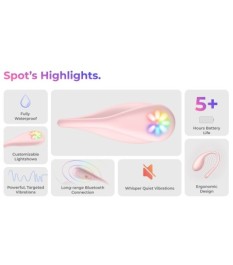 Vibro-Ei „Spot“, interaktiv